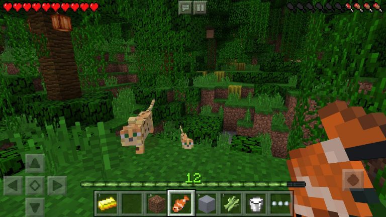 Minecraft continues to be one of the most popular games in the world.